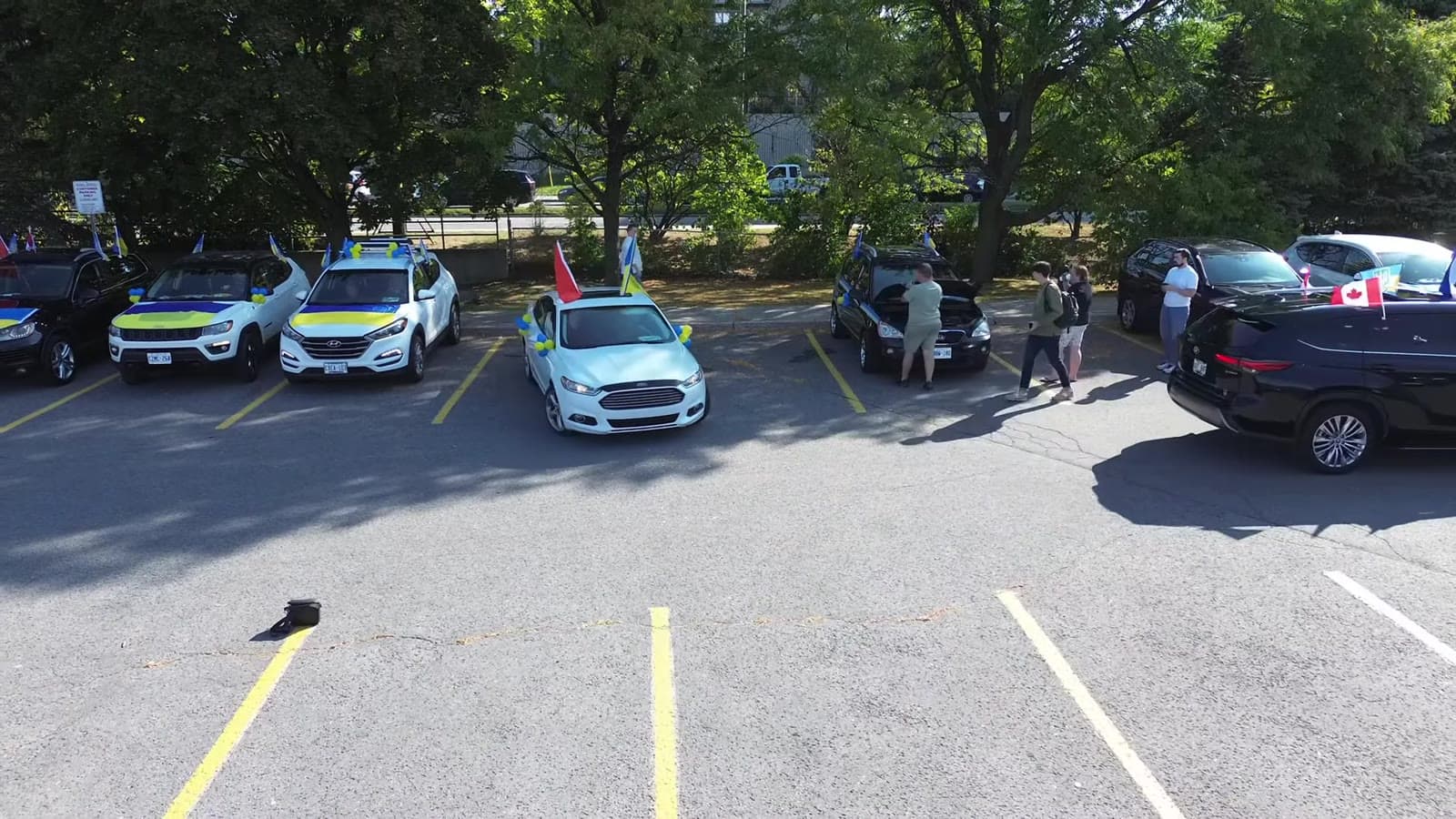 Blue-and-yellow decorated cars at the 2024 convoy staging point