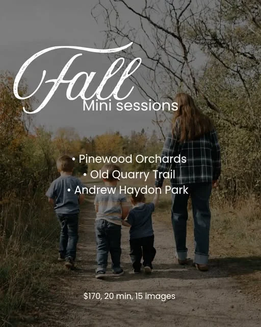 Her poster for the fall 2026 mini sessions — three children and their mother walking a leafy path, with Pinewood Orchards, Old Quarry Trail and Andrew Haydon Park listed and the terms $170, 20 min, 15 images