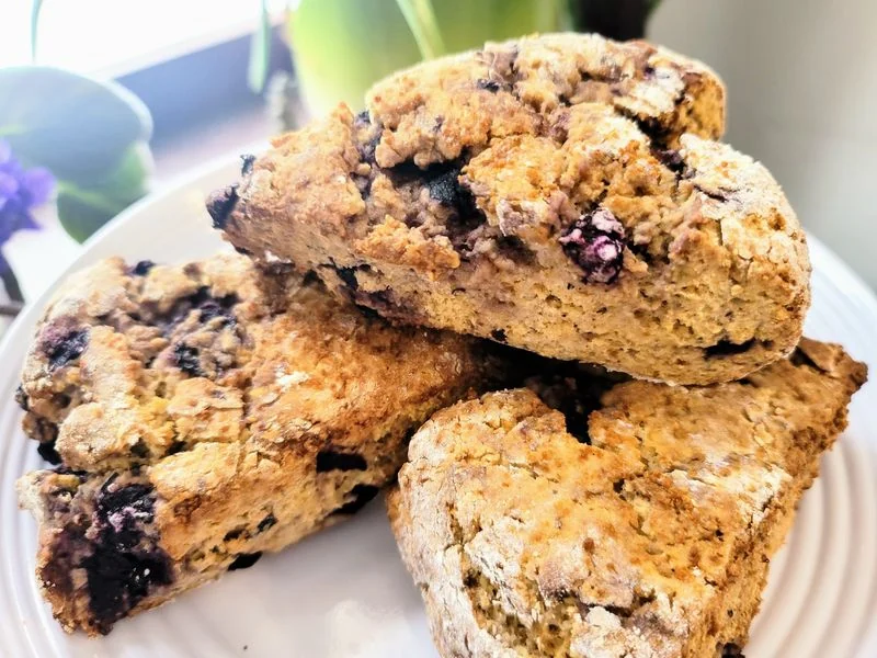 Blueberry Lemon Scones on a white plate — vegan and gluten-free, sold in a 4 pack